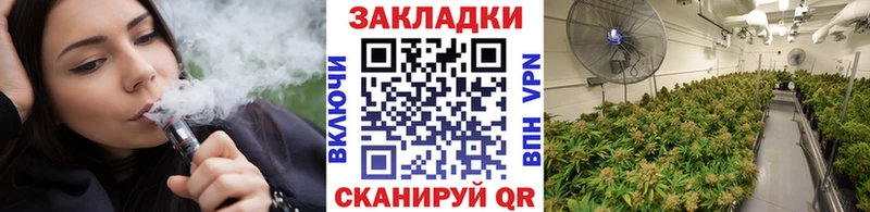 Бошки Шишки Темников