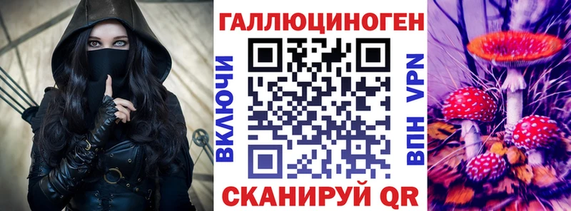 Купить где  Темников  Псилоцибиновые грибы мухоморы 