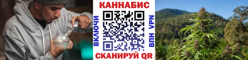 Купить где  Темников  Конопля SATIVA & INDICA 